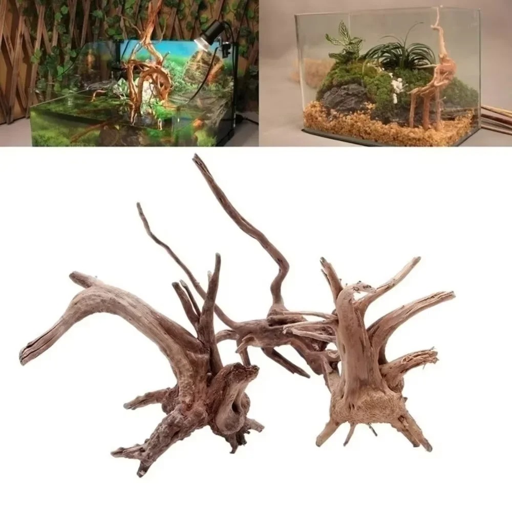 Aquarium Marine Tank - Декор для аквариума из натурального коряги