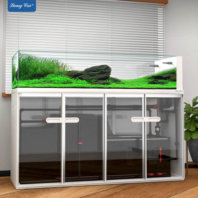 Aquarium Marine Fish For Sale - Большой современный стиль, стеклянный аквариум, принадлежности