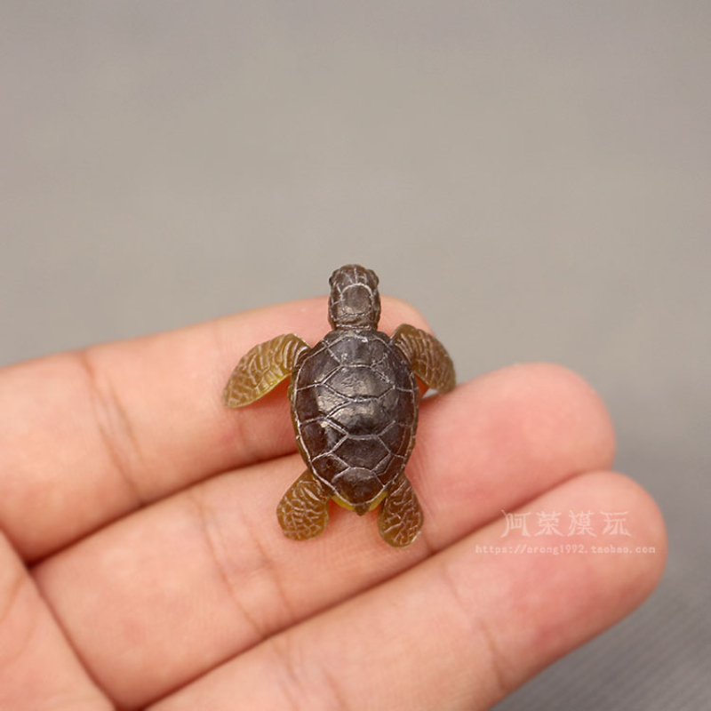 Marine Aquarium Japan - Морская жизнь, море, искусственные украшения, милые
