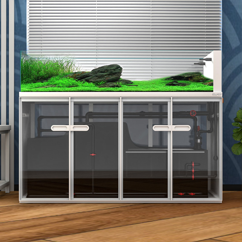 Большой современный стиль, сте – обзор и цена Aquarium Marine Fish For Sale