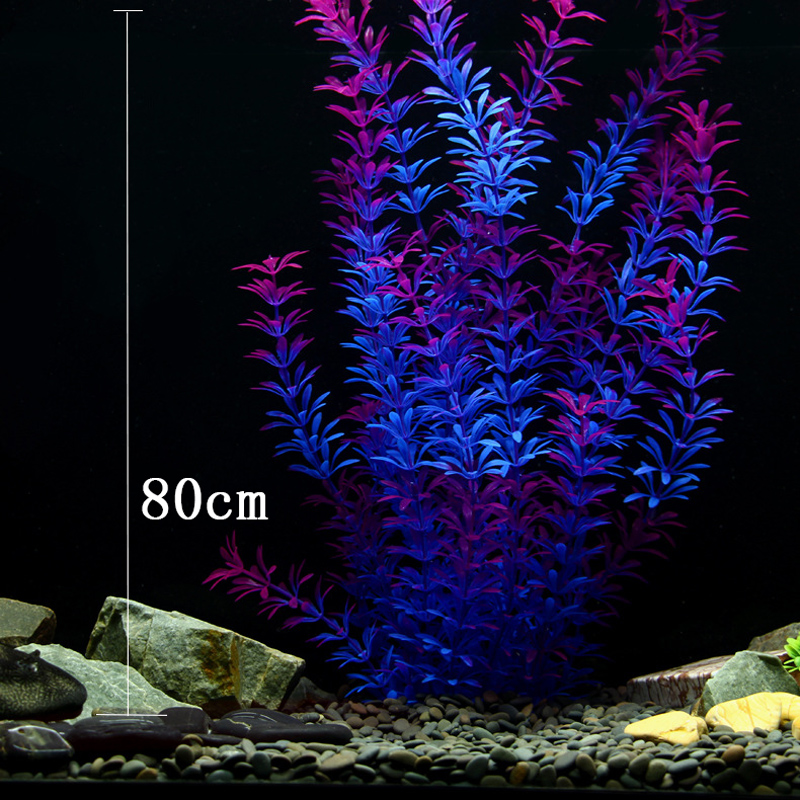100 см Тропические растения, б – обзор и цена Aquarium Marine Tank