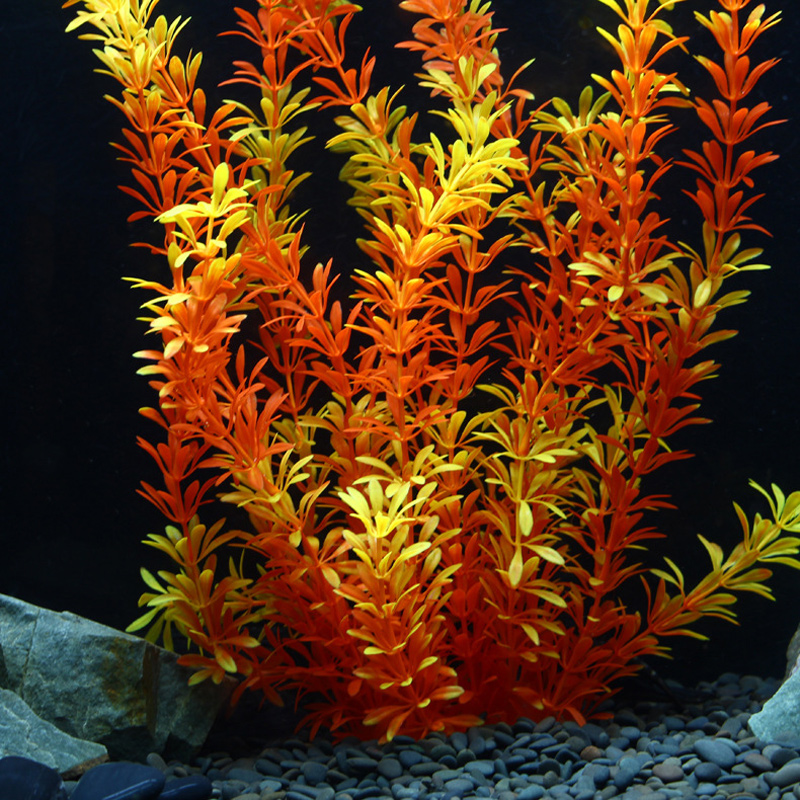 100 см Тропические растения, б – обзор и цена Aquarium Marine Tank