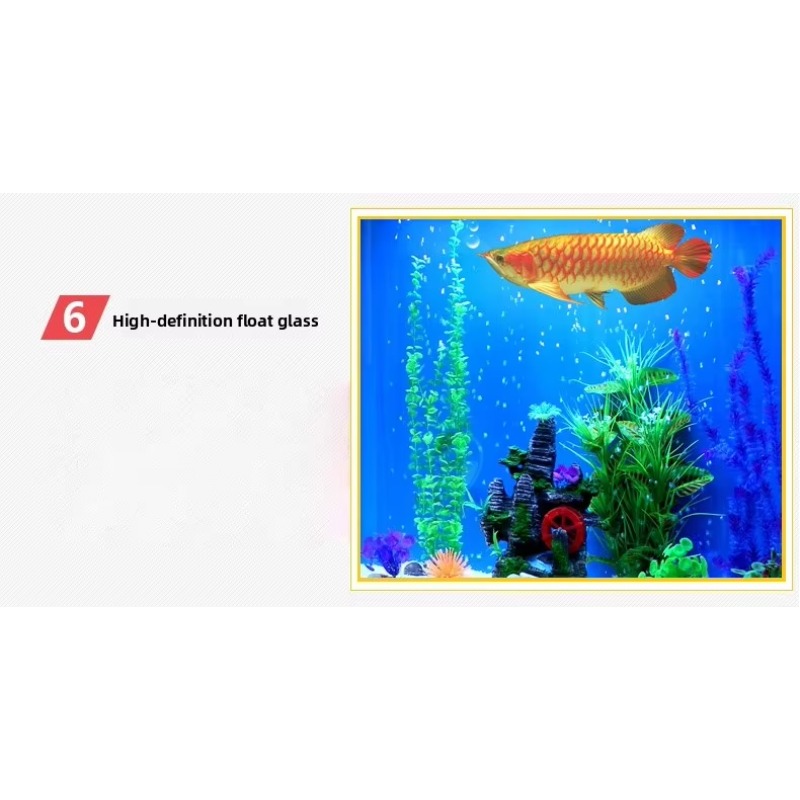Большой морской аквариум на 20 – обзор и цена Aquarium Marine Fish For Sale