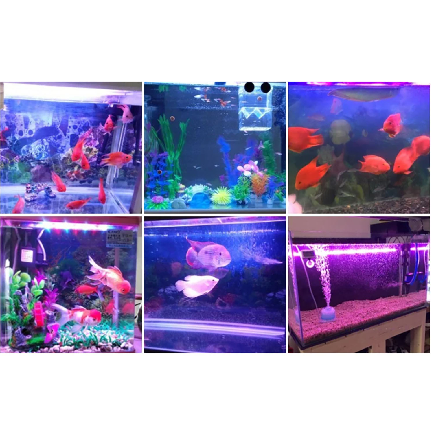 Светодиодное освещение для акв – обзор и цена Marine Aquarium Uv