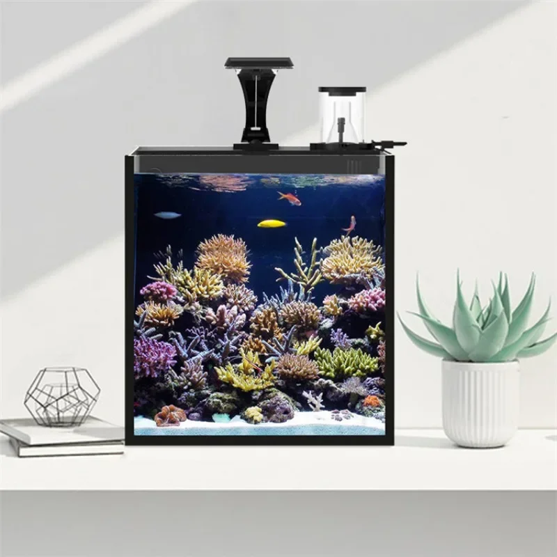 Горячая распродажа: Ультрапроз – обзор и цена Aquarium Marine Fish For Sale