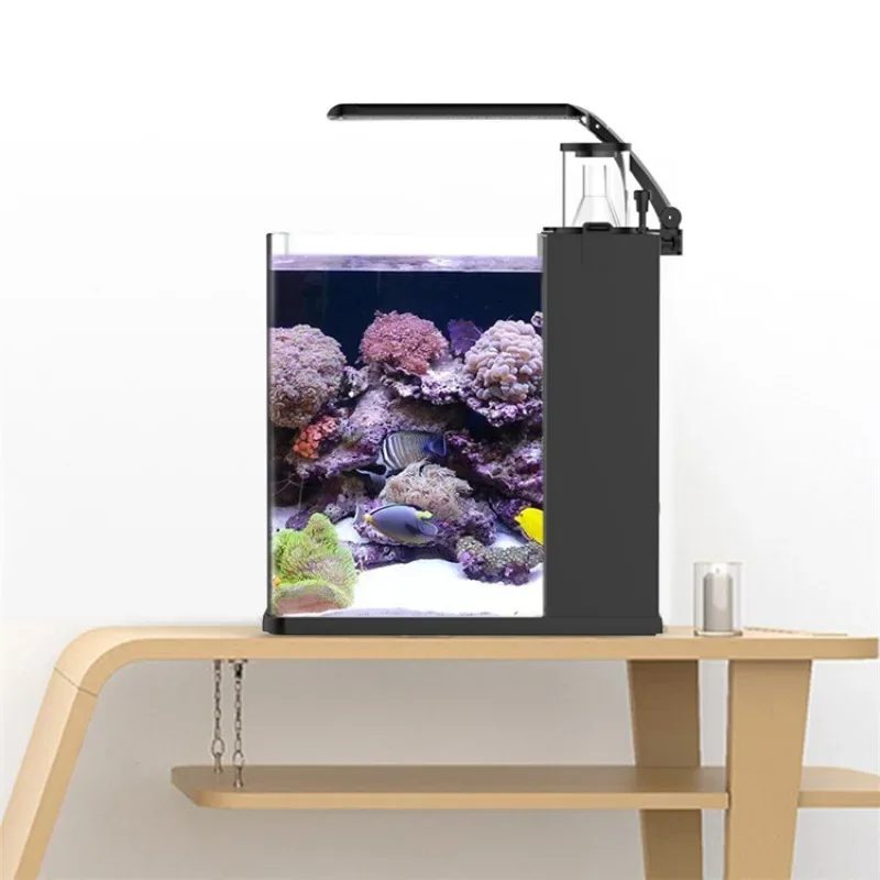 Горячая распродажа: Ультрапроз – обзор и цена Aquarium Marine Fish For Sale
