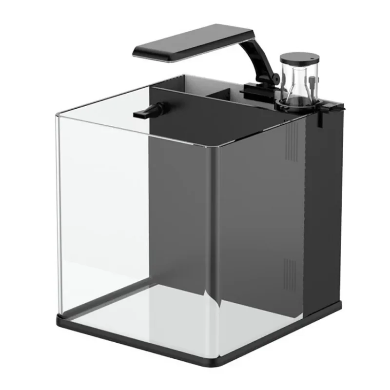 Горячая распродажа: Ультрапроз – обзор и цена Aquarium Marine Fish For Sale