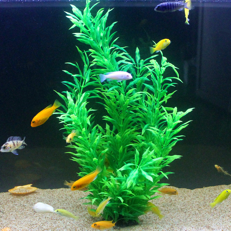 50 см искусственный аквариум р – обзор и цена Aquarium Marine Tank